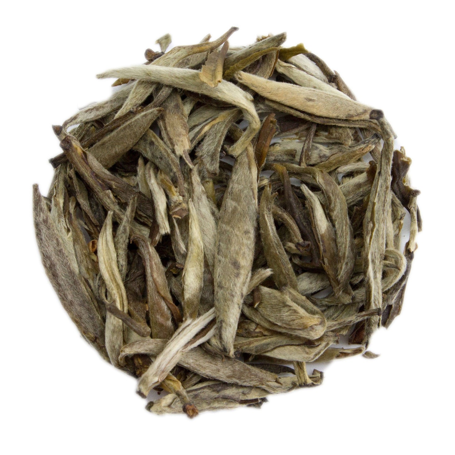 Té Blanco Fujian Jasmine Silver Needle