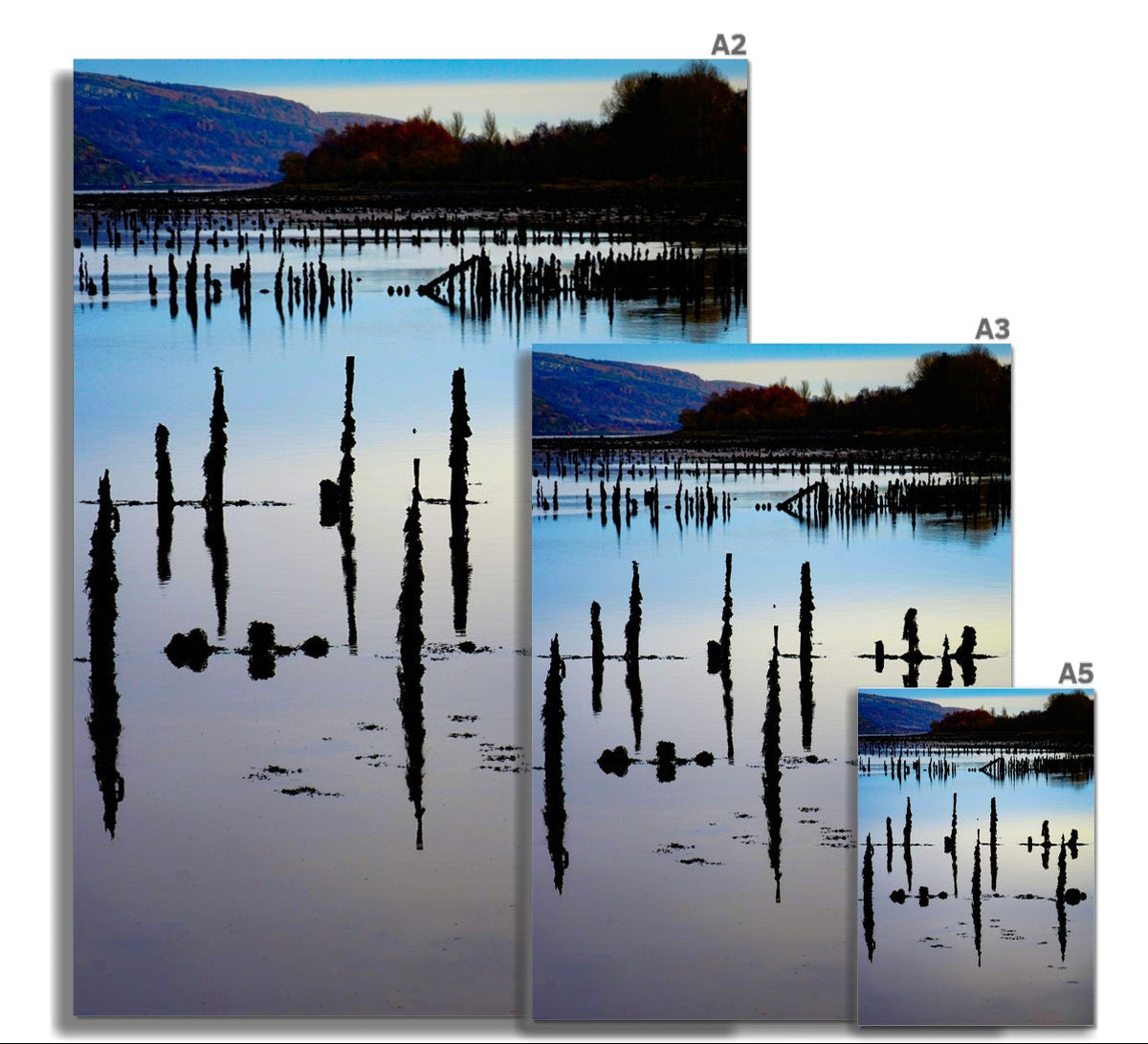Timber Ponds at Port Glasgow Fine Art Print