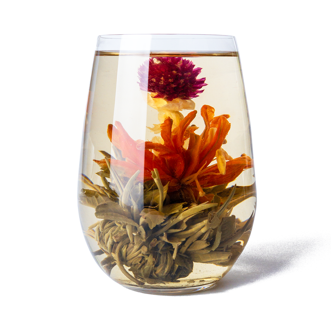 Té de Lirio Divino en Flor