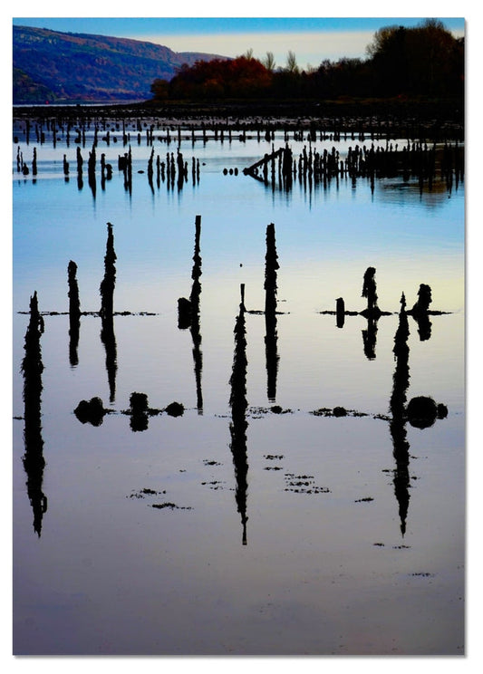 Timber Ponds at Port Glasgow Fine Art Print
