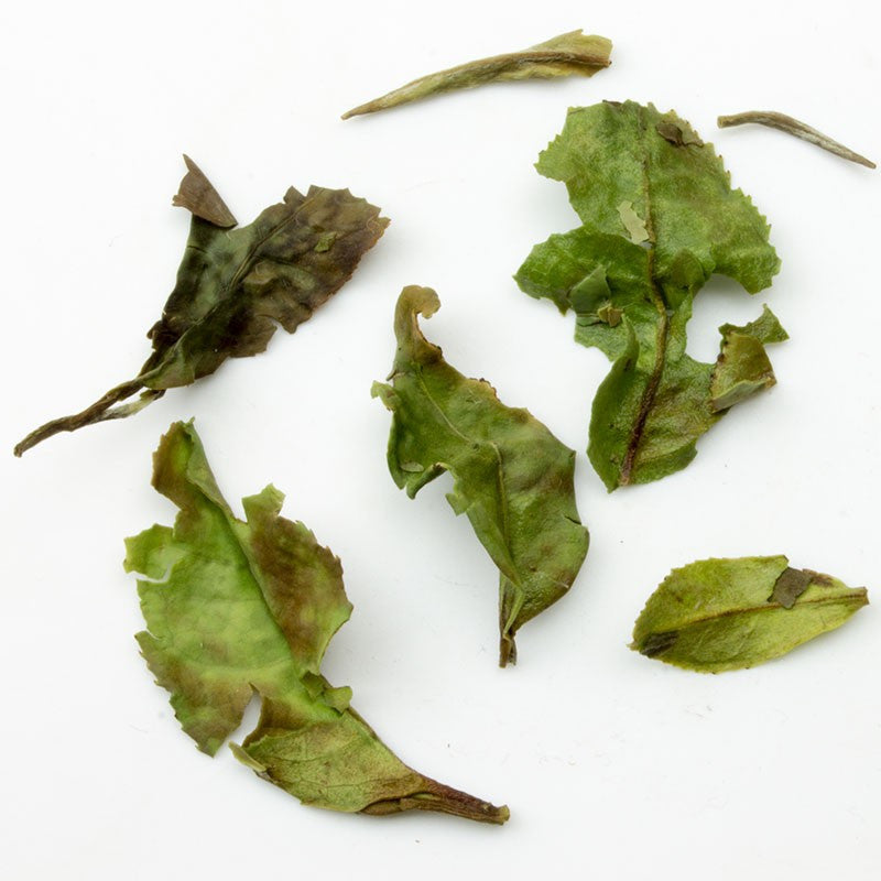 Té Blanco Pai Mu Tan